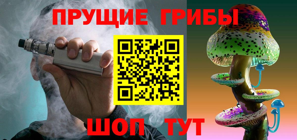 Псилоцибиновые грибы прущие грибы  Вход с VPN  Псилоцибиновые грибы GOLDEN TEACHER  купить  сайты  Новочеркасск 